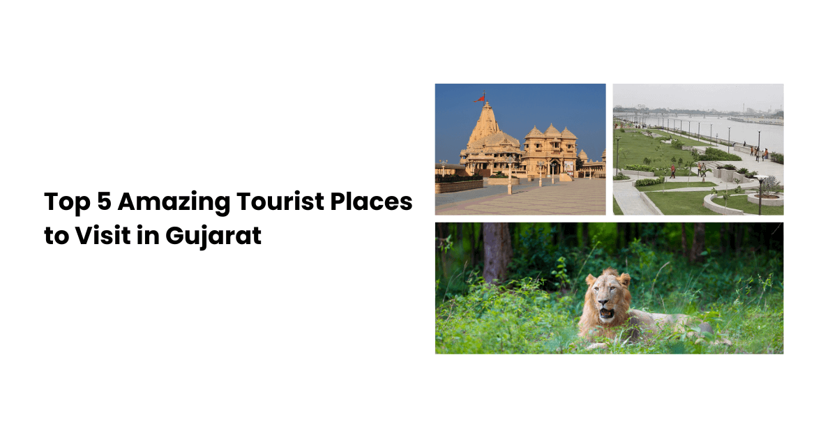 Top 5 Amazing Tourist Places to Visit in Gujarat